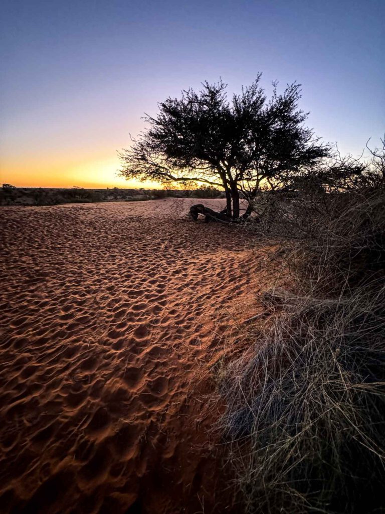 073_Namibia_IMG_0973_@Jaugstetter